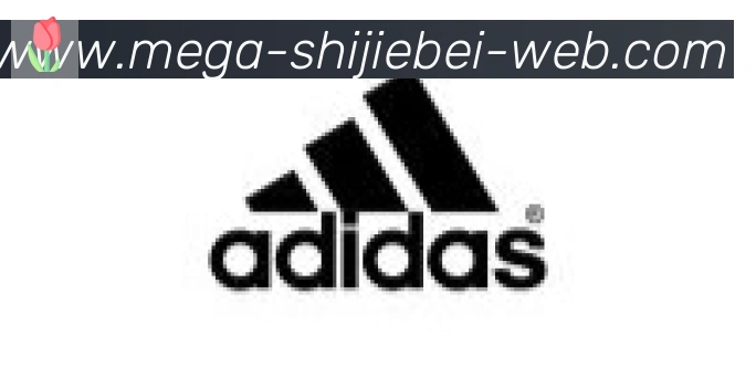 世界杯直播合作伙伴